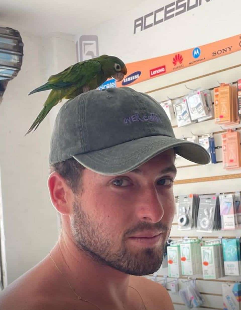 זה קרה
שהדרך התמשכה לי
זה קרה
לא ידעתי איך זה בא לי
שום דבר לא ידוע
לא שנה, לא שבוע
יש לנוע לנוע
ולחשוב שהייתי יכול
לחזור על הכל
אבל בן אדם
זה קרה
זה יקרה
ואולי בסוף הדרך
שנראה
כי הדרך מתמשכת……

מזל טוב ילד שלי 

אדירי אוהב אותך לנצח♥️♥️♥️♥️♥️

לא נשכח ולא נסלח!!!!!